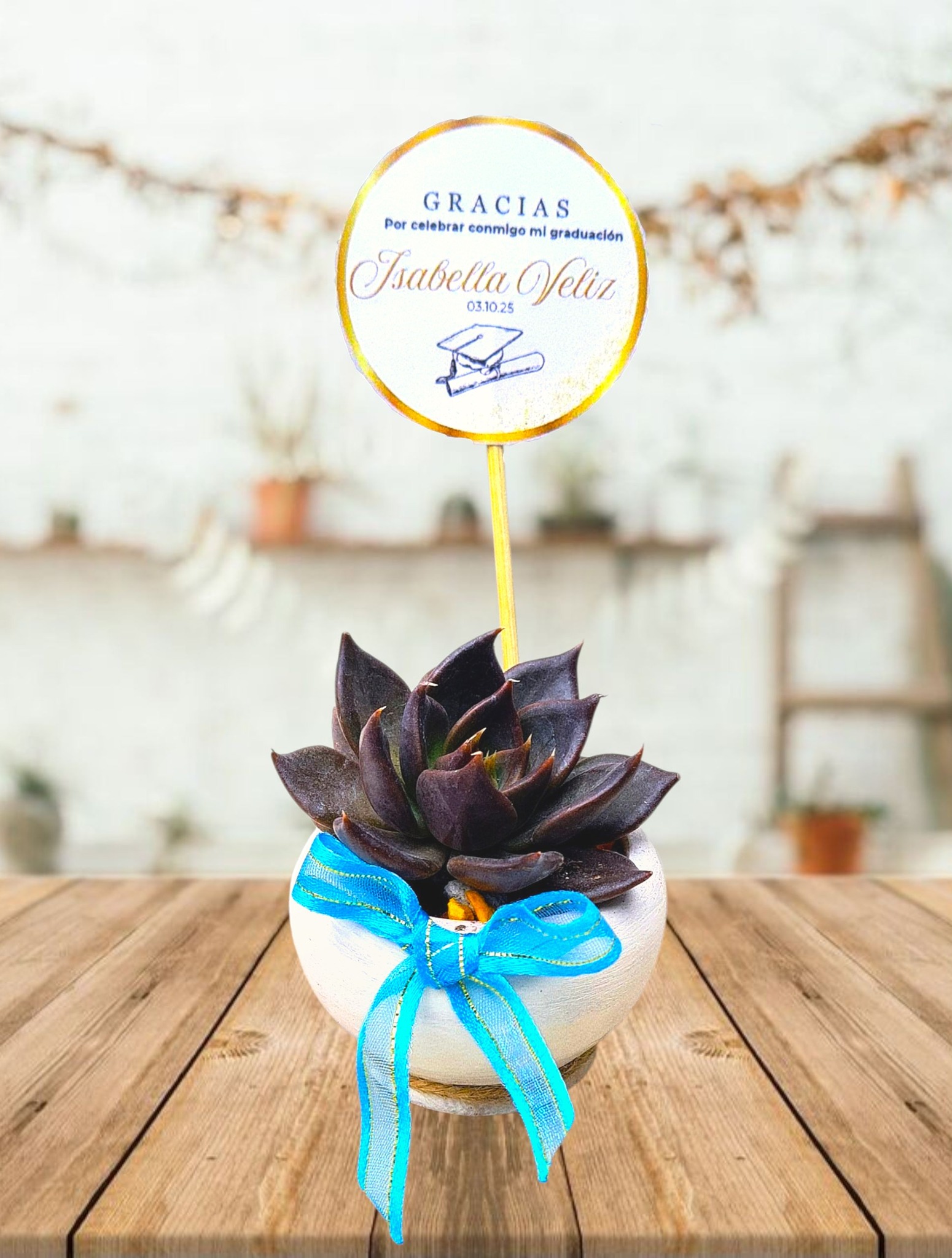 Macetas Personalizadas